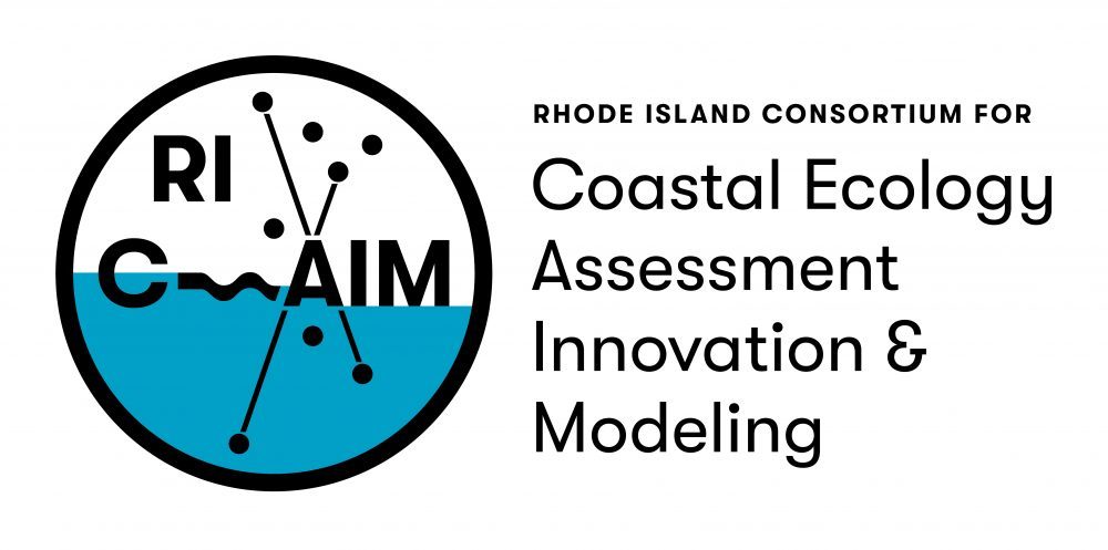 RI C-AIM